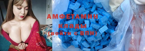 индика Усмань