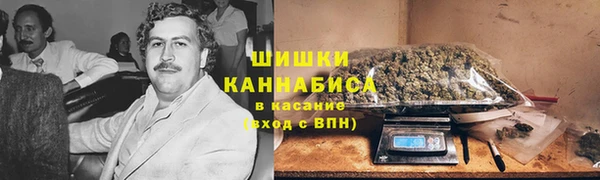 стаф Нефтегорск