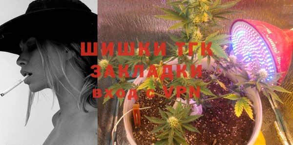 индика Усмань