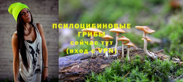 прущий лед Усинск