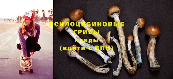 a pvp Струнино