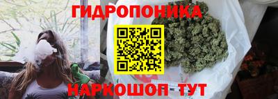 каннабис Аргун