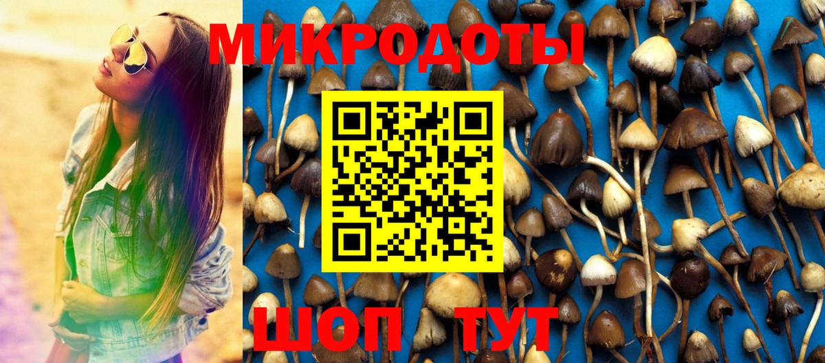 Псилоцибиновые грибы MAGIC MUSHROOMS  Вход с VPN  где можно купить   Старый Оскол 