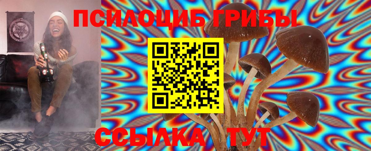 Псилоцибиновые грибы Cubensis Старый Оскол