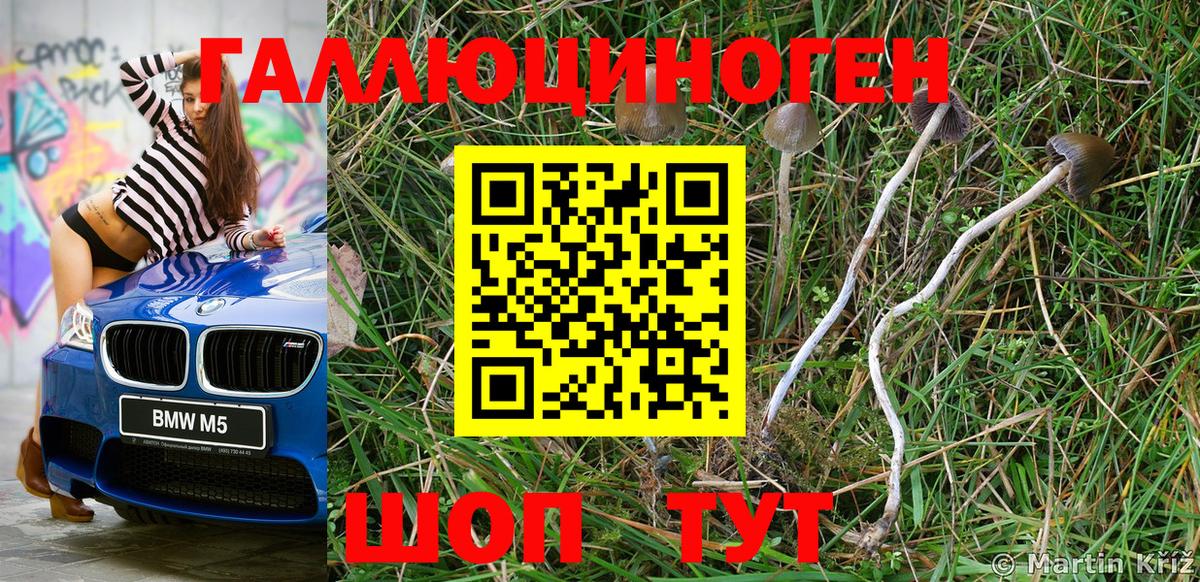 Псилоцибиновые грибы мицелий  Старый Оскол 