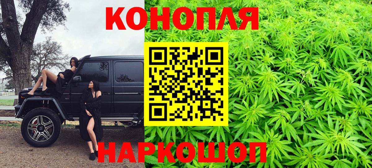 Канабис VHQ  Канабис планчик  Марихуана семена  Конопля Bruce Banner  Старый Оскол  Вход с VPN 
